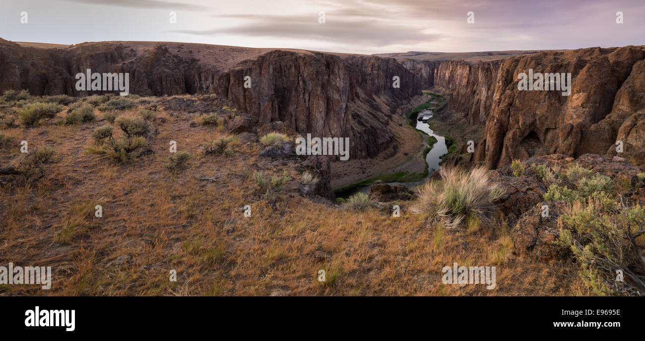 L'Owyhee River traverse de basalte et de formations de cendres près de la WF du Petit Valley. Banque D'Images