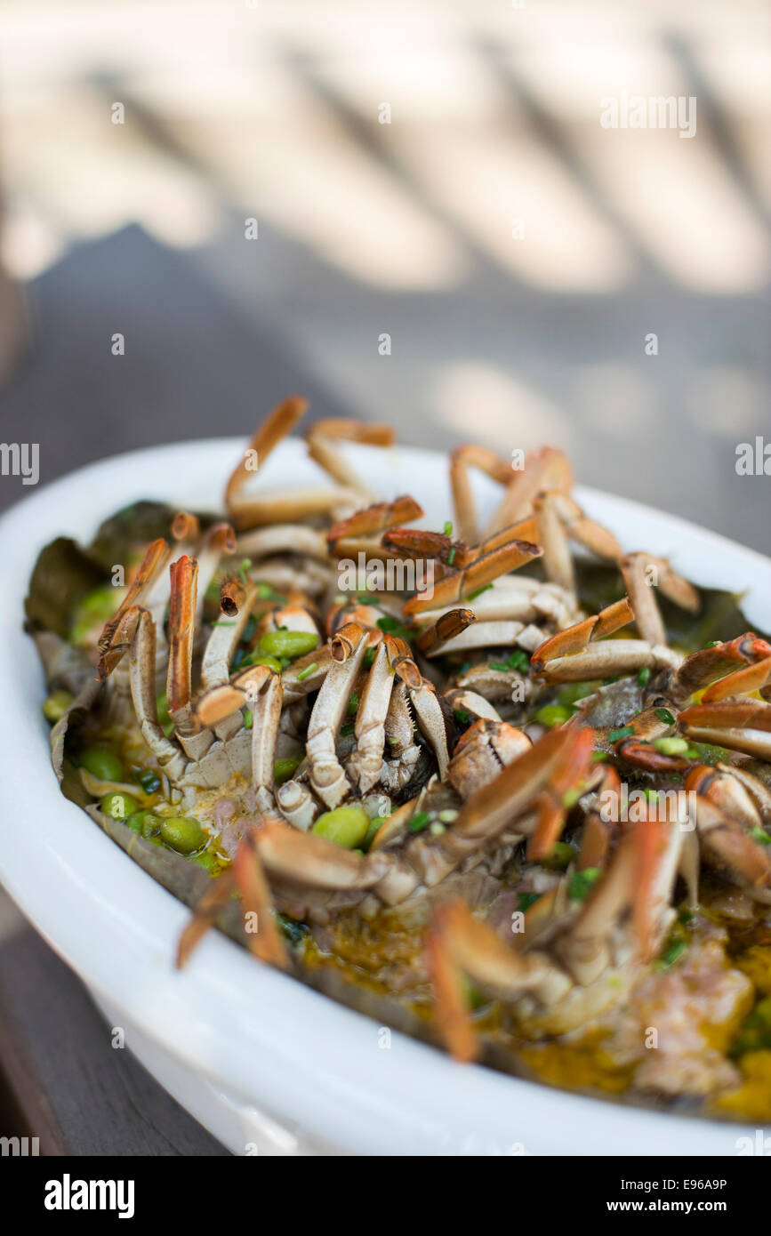 1 septembre 2013, Suzhou, Chine - un plat de Maodou liuyuehuang avec crabes velus (- une des spécialités de saisons) à Geng Li Tang. Banque D'Images