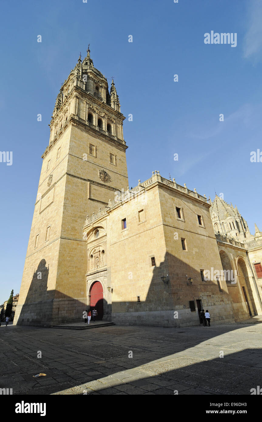 Ieronimus Tower, ancienne cathédrale, Salamanque, Espagne Banque D'Images