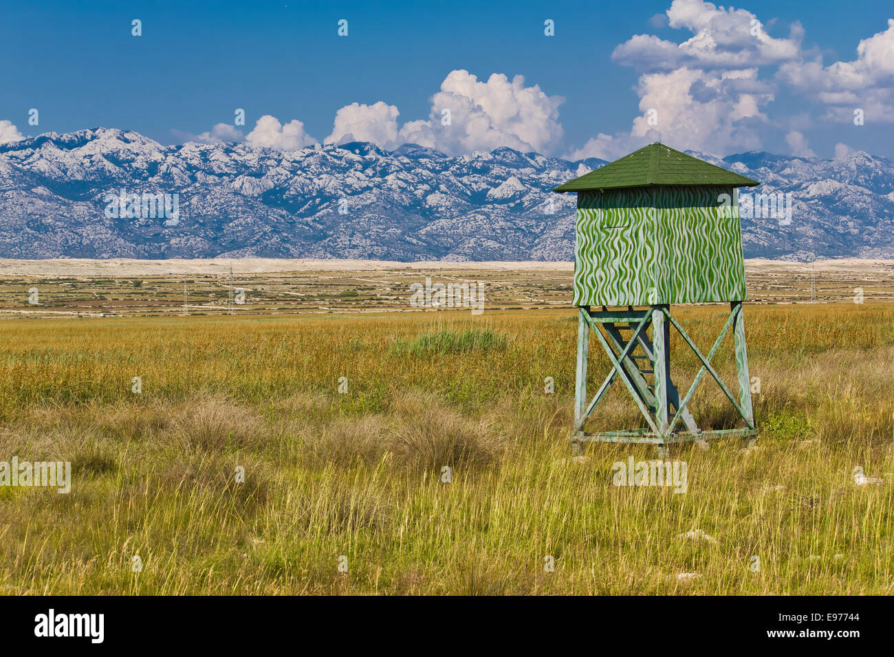 Hunter high position sur l''île de Pag Banque D'Images
