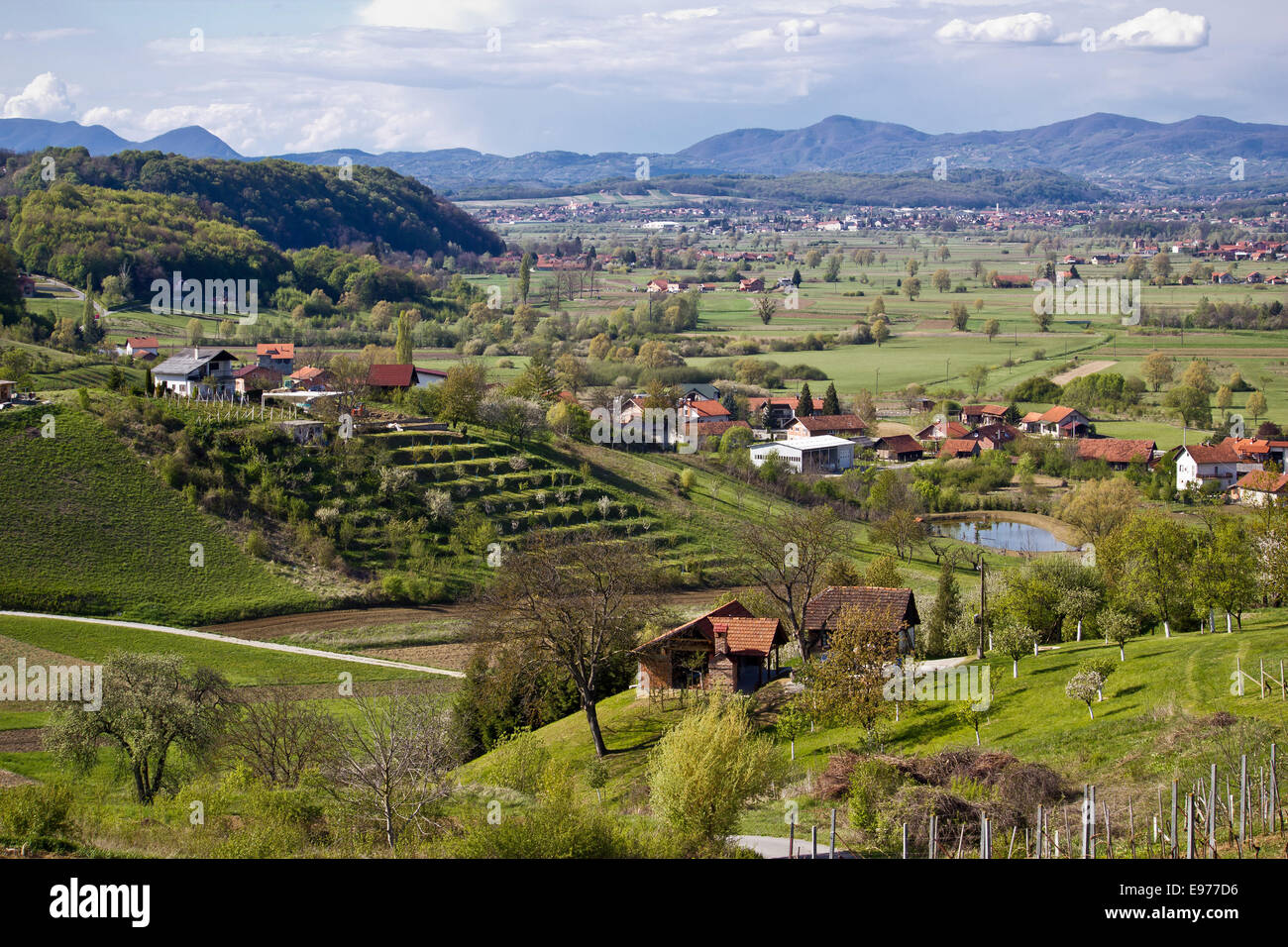 Paysage verdoyant de la région de Zagorje Banque D'Images