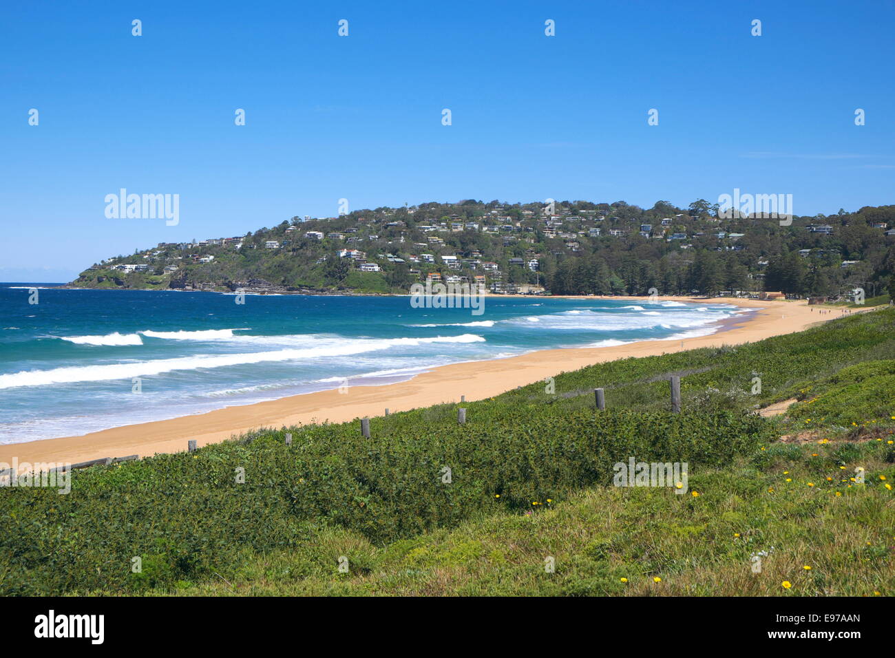 Palm beach sydney tourné au printemps,Sydney, Australie Banque D'Images