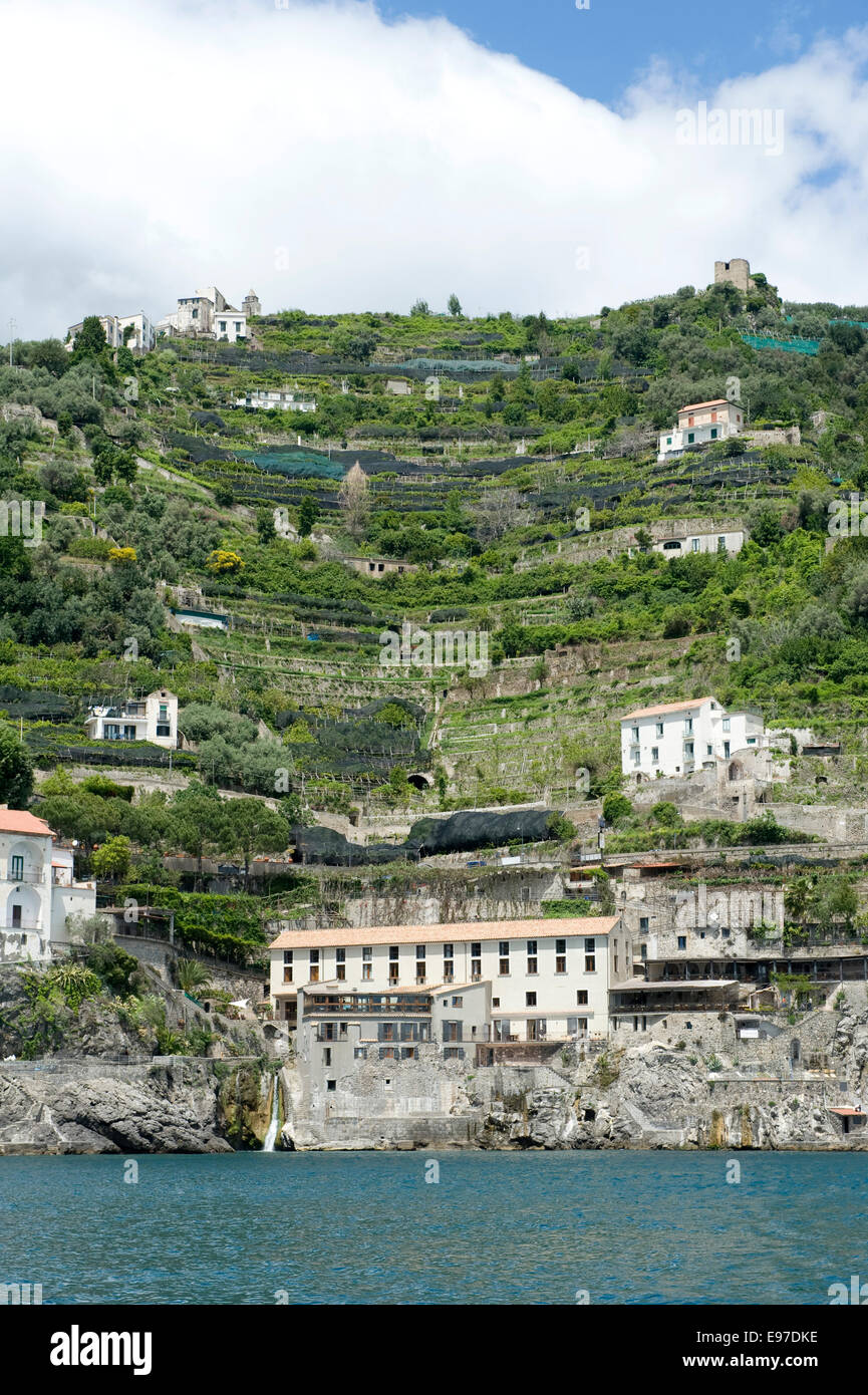 Villas, oliviers et citronniers sur les falaises près d'Amalfi à partir d'un bateau dans la baie de Salerne en mai Banque D'Images