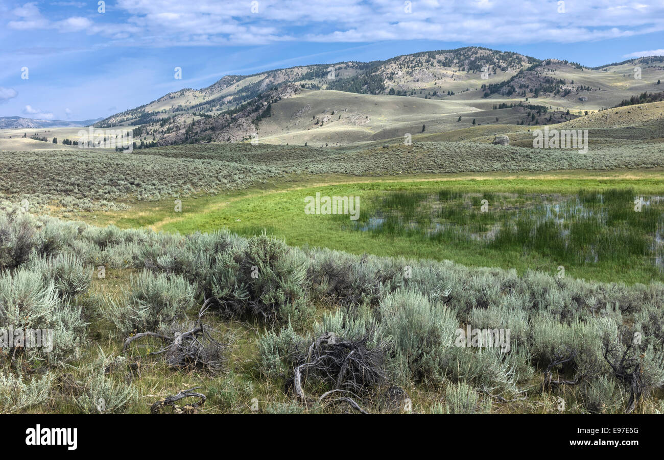 Le Parc National de Yellowstone, un jour ensoleillé, montrant les montagnes, l'aride paysage vallonné et rochers éparpillés, Wyoming, USA. Banque D'Images