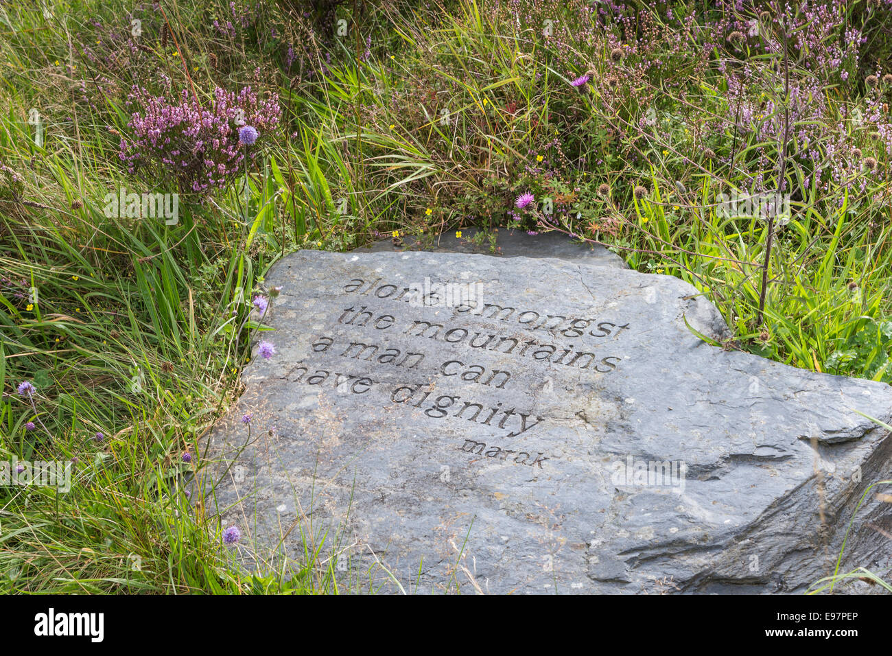 Devis sur pierre sur Onich Hill près de Glencoe en Ecosse. Banque D'Images