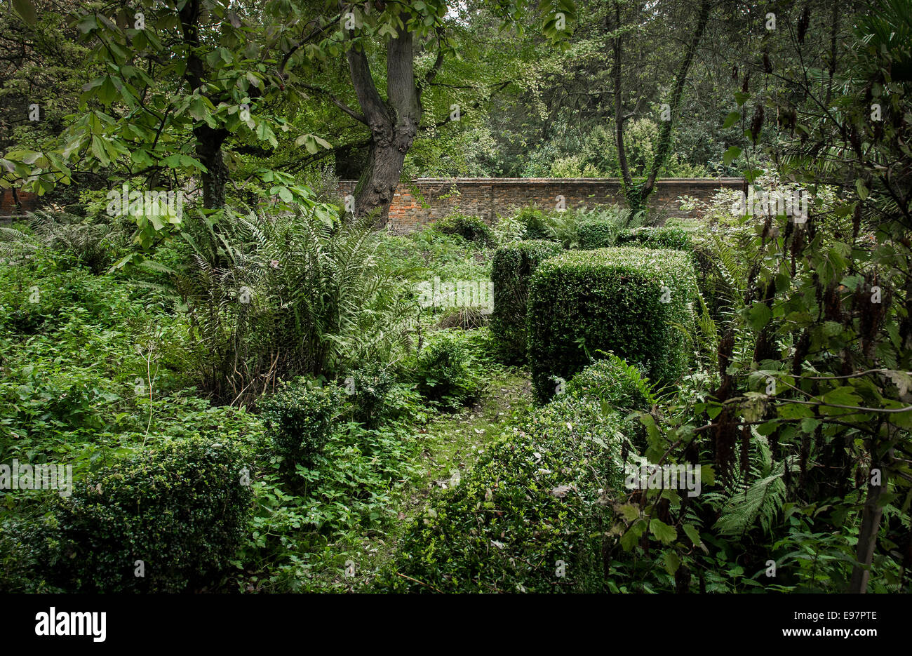 Le jardin clos surcultivé de Warley place dans l'Essex. Le jardin de la maison de Miss Ellen Wilmott. Banque D'Images