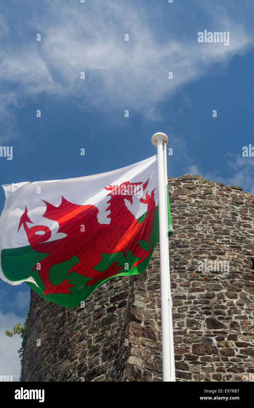 Drapeau Drapeau gallois au Pays de Galles avec dragon rouge Y Ddraig Goch en face de l'une des tours du château de Carmarthen Carmarthenshire West Wales UK Banque D'Images