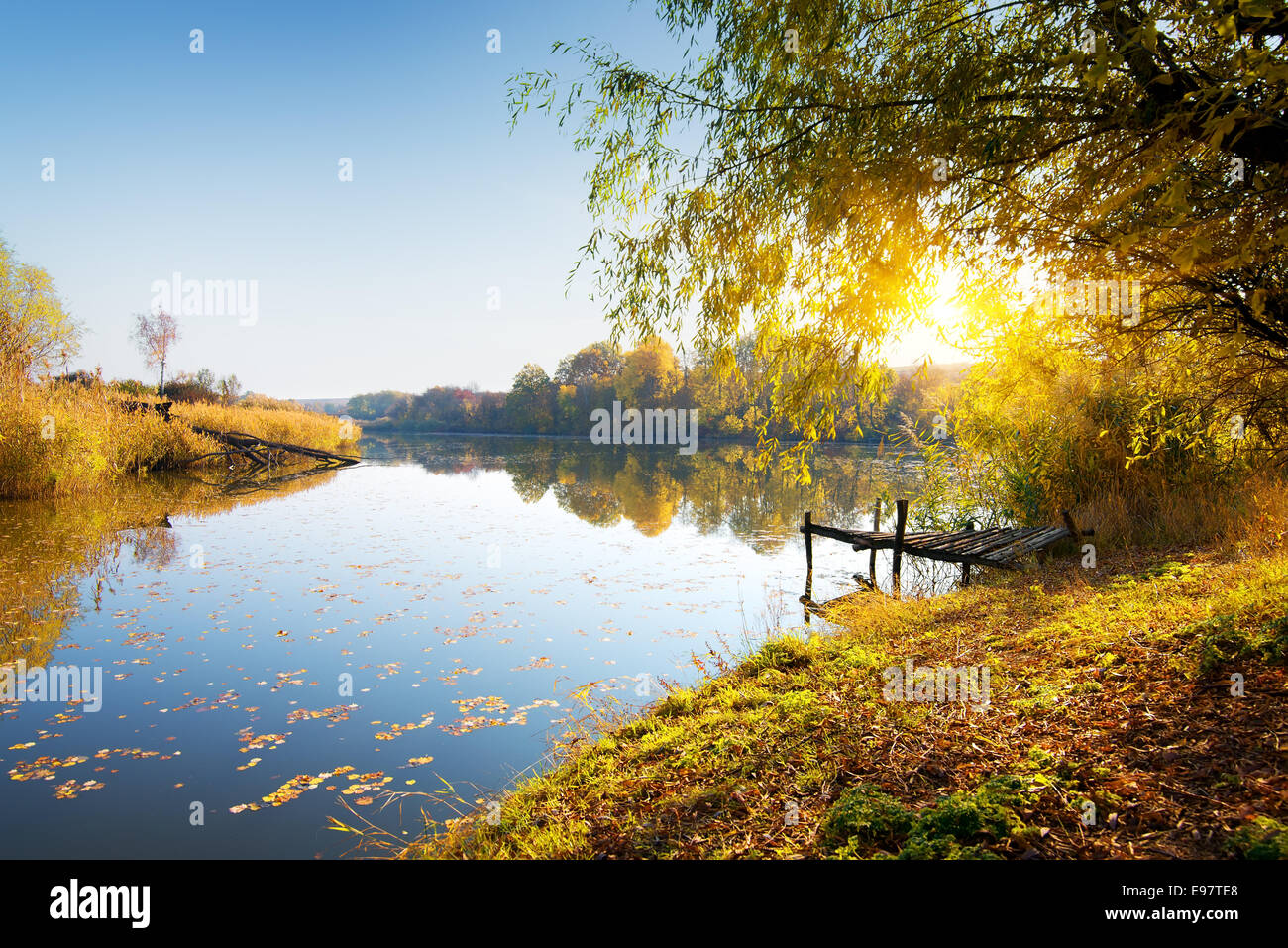 Rivière calme et forêt d'automne au lever du soleil Banque D'Images