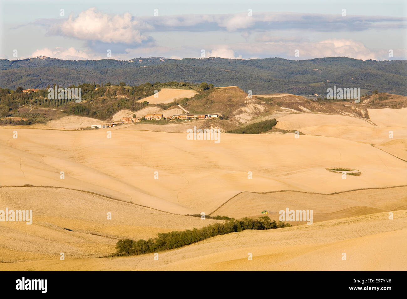L'Europe, Italie, Toscane, Sienne, crete senesi, paysage Banque D'Images