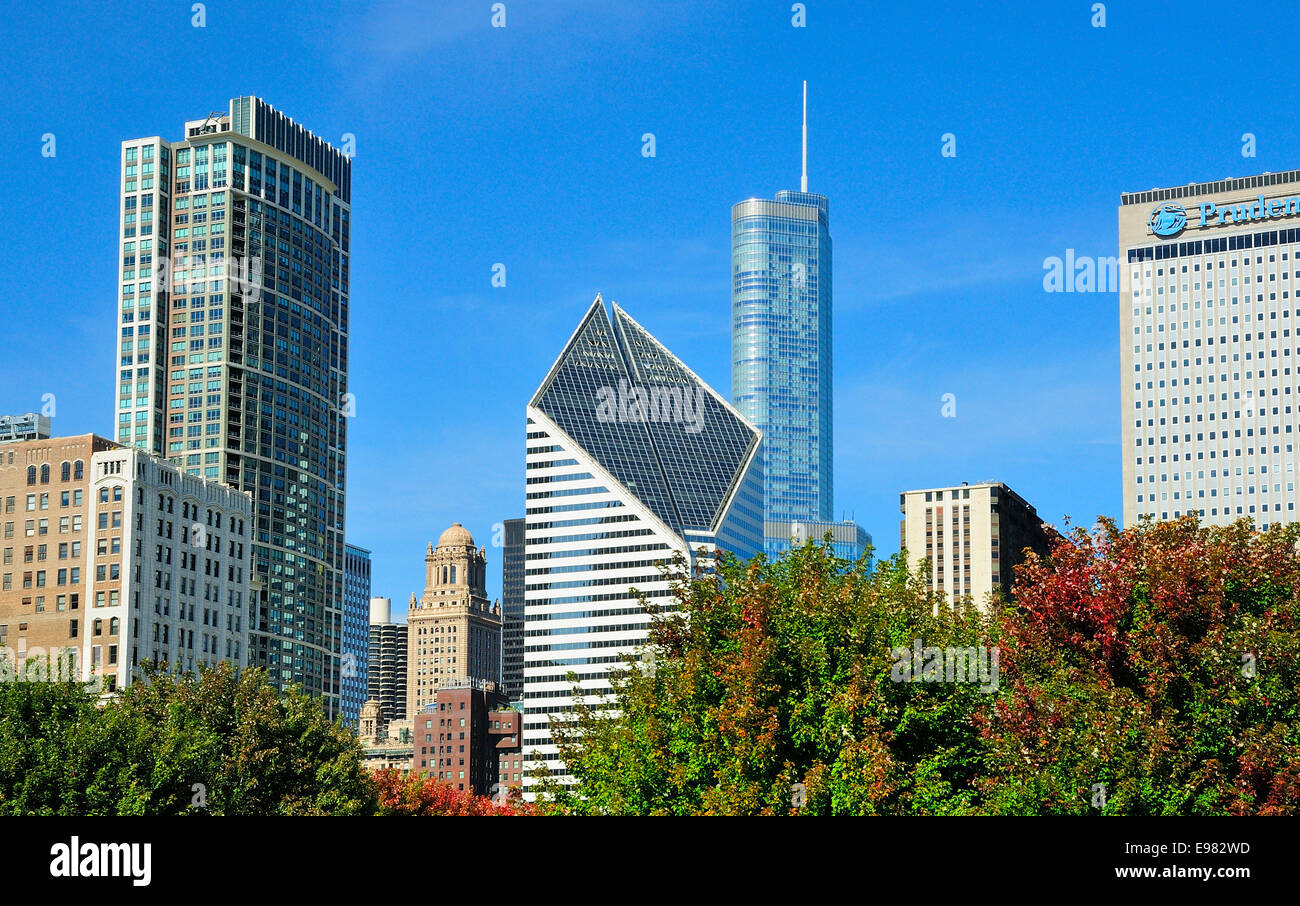 Horizon de Chicago du Millennium Park. Banque D'Images