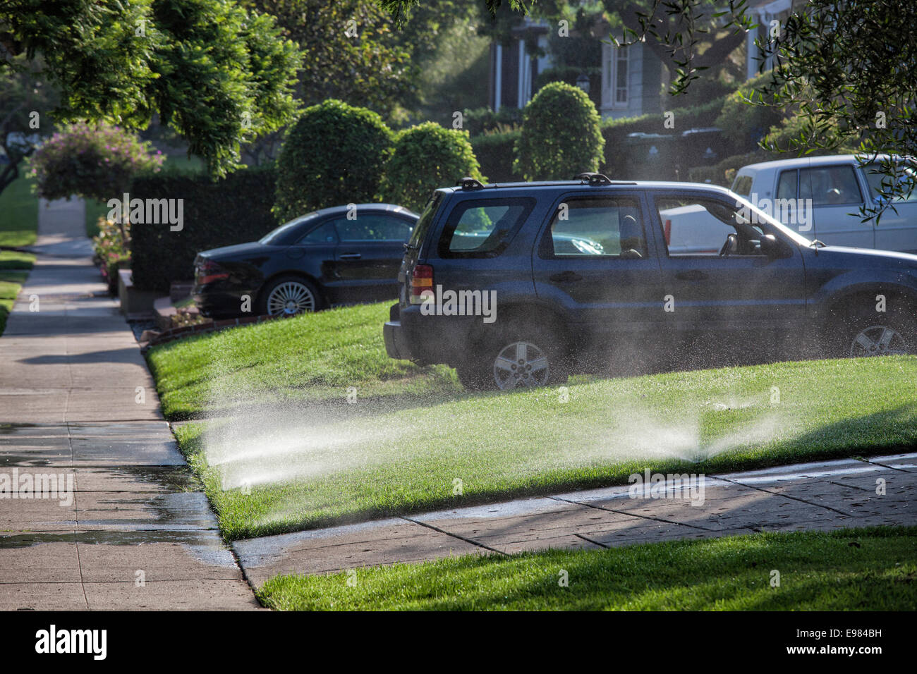 Les pelouses sont arrosées par des sprinkleurs au cours de la grave sécheresse de l'été 2014. Cheviot Hills, Los Angeles, Californie, USA Banque D'Images