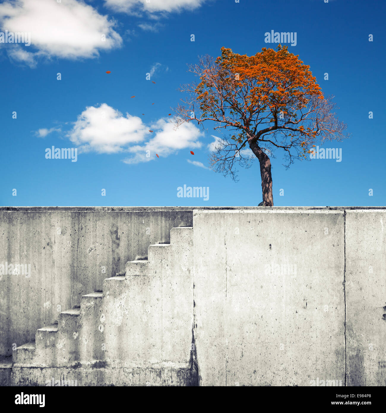 Mur de béton blanc avec escalier et petit arbre d'automne au-dessus de ciel bleu Banque D'Images
