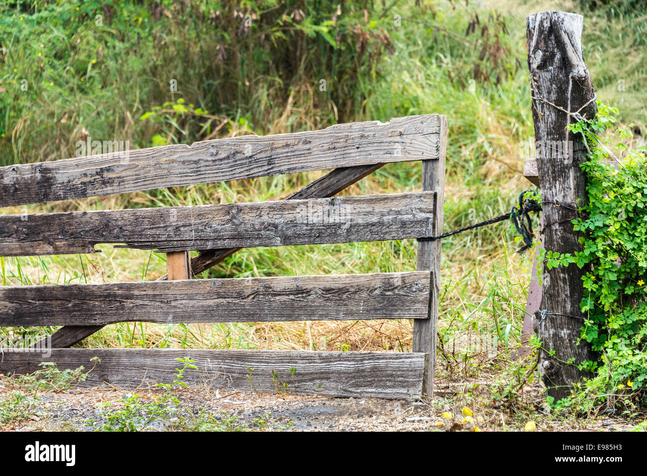 Vieille clôture en bois vintage gate hawaii tropical libre de ne pas ouvrir le robinet lié n'entrez pas d'entrée Banque D'Images