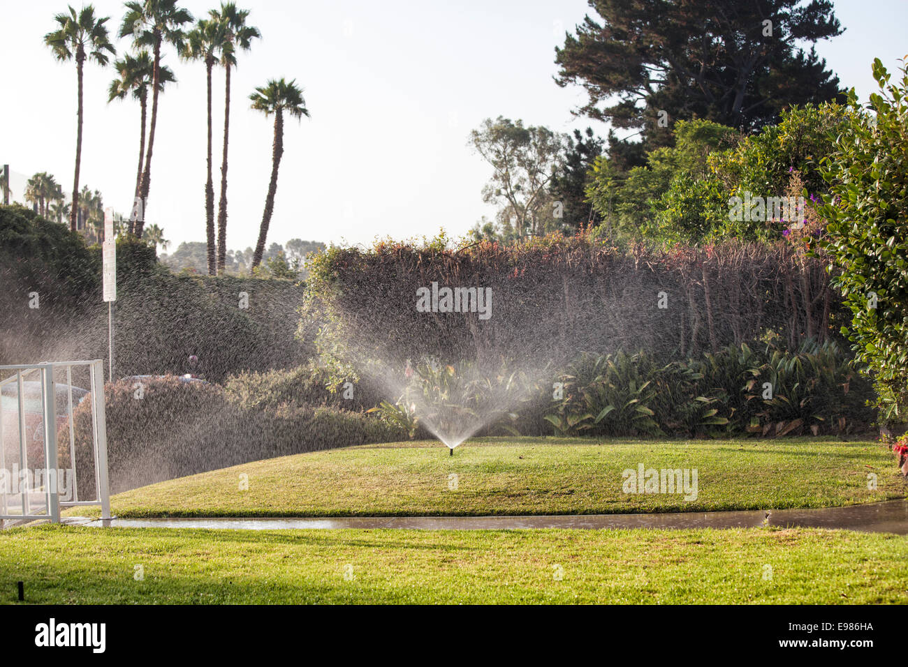 Les pelouses sont arrosées par des sprinkleurs au cours de la grave sécheresse de l'été 2014. Cheviot Hills, Los Angeles, Californie, USA Banque D'Images