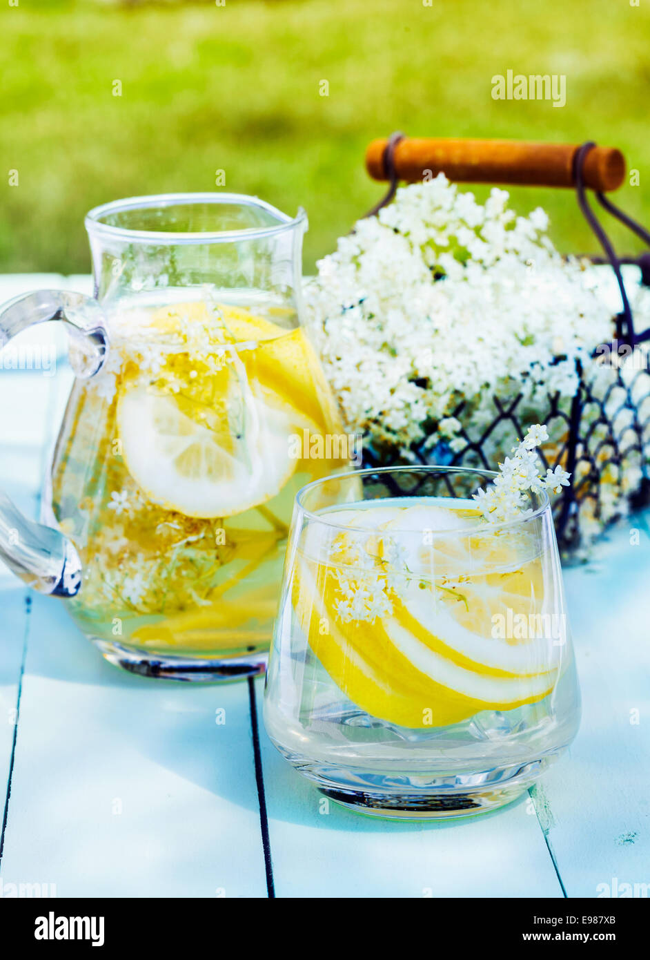 Le citron et le cèdre le rafraîchissement. La floraison de la limonade en cèdre avec de l'eau et de rondelles d'agrumes à l'extérieur sur une table en bois. Un panier de fleurs de cedar Dans l'arrière-plan Banque D'Images