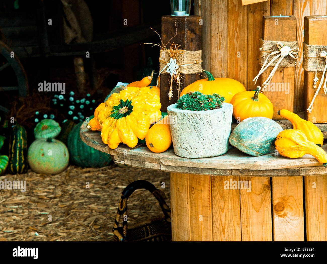 Différentes sortes de citrouilles sur une table ronde en bois pour l'automne concepts Banque D'Images