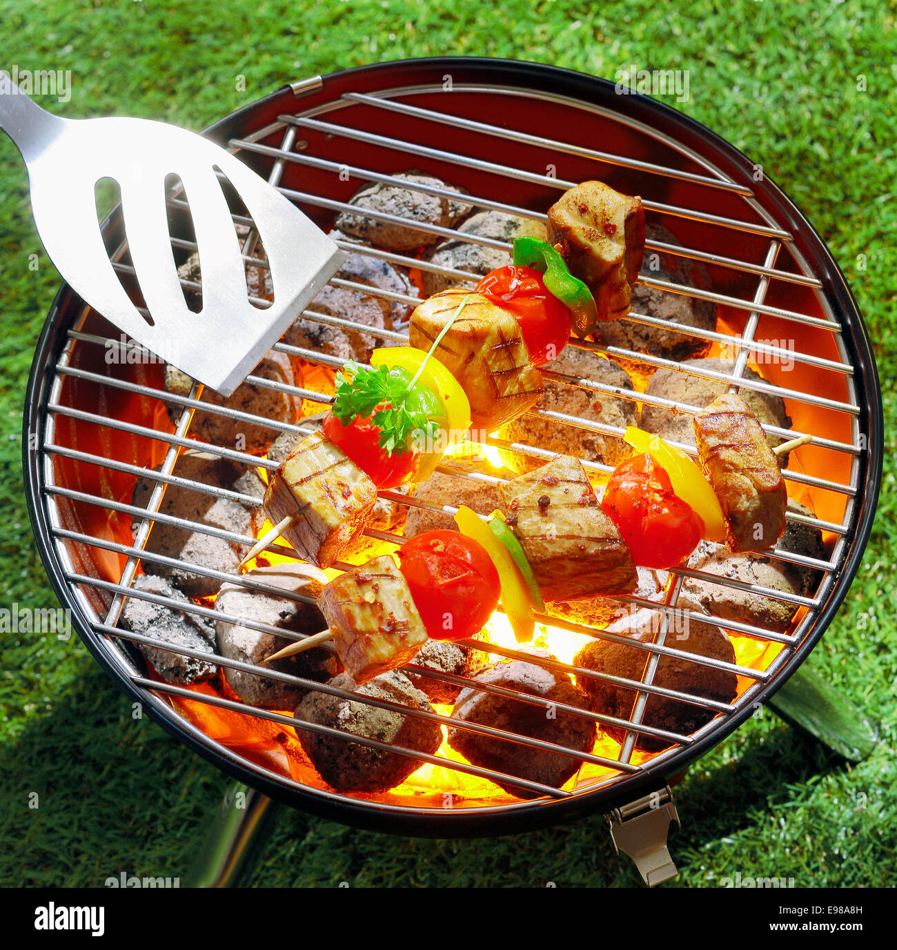 Libre de boeuf savoureux, la tomate et le poivre griller les brochettes sur braise dans une piscine en plein air sur un barbecue Banque D'Images