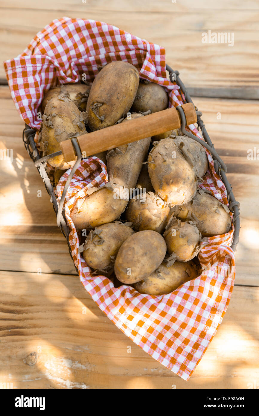 Close-up d'un panier métallique pleine de pommes de terre nouvelles, frais de tir Banque D'Images