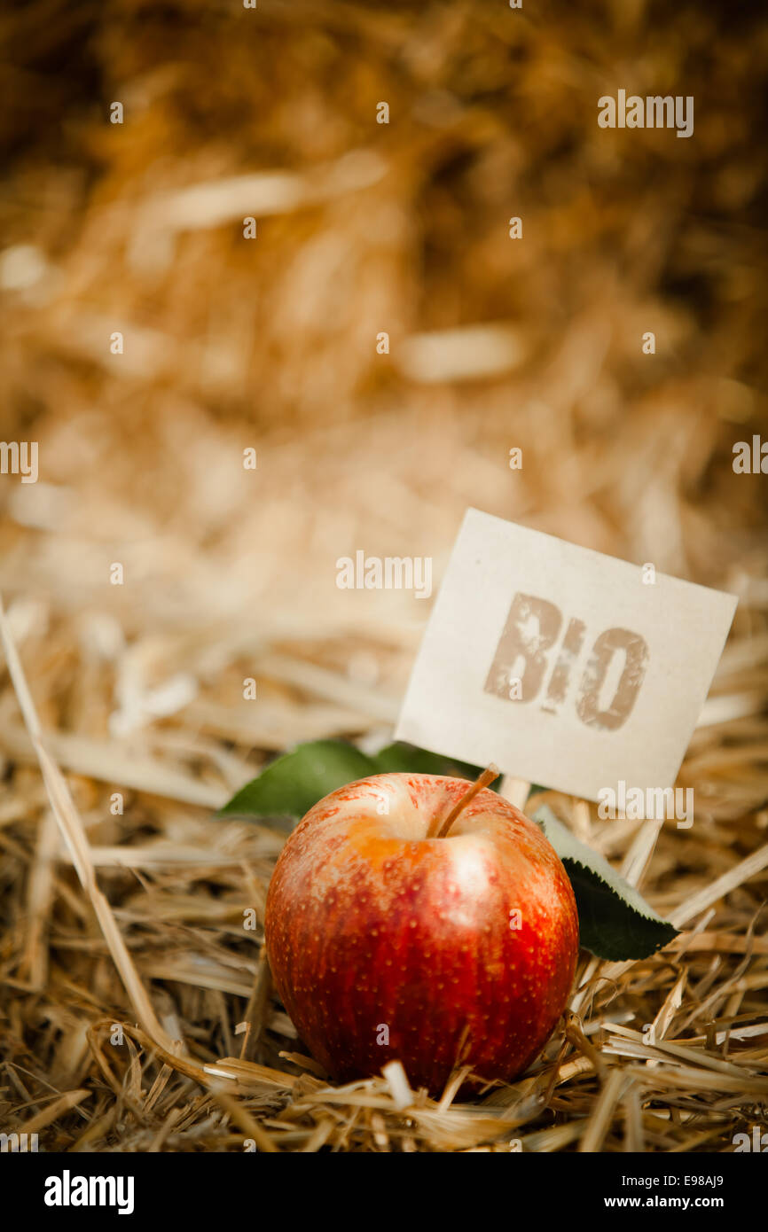 Close-up of red apple savoureux sur la paille, étiquetées en tant que produits 'bio' Banque D'Images