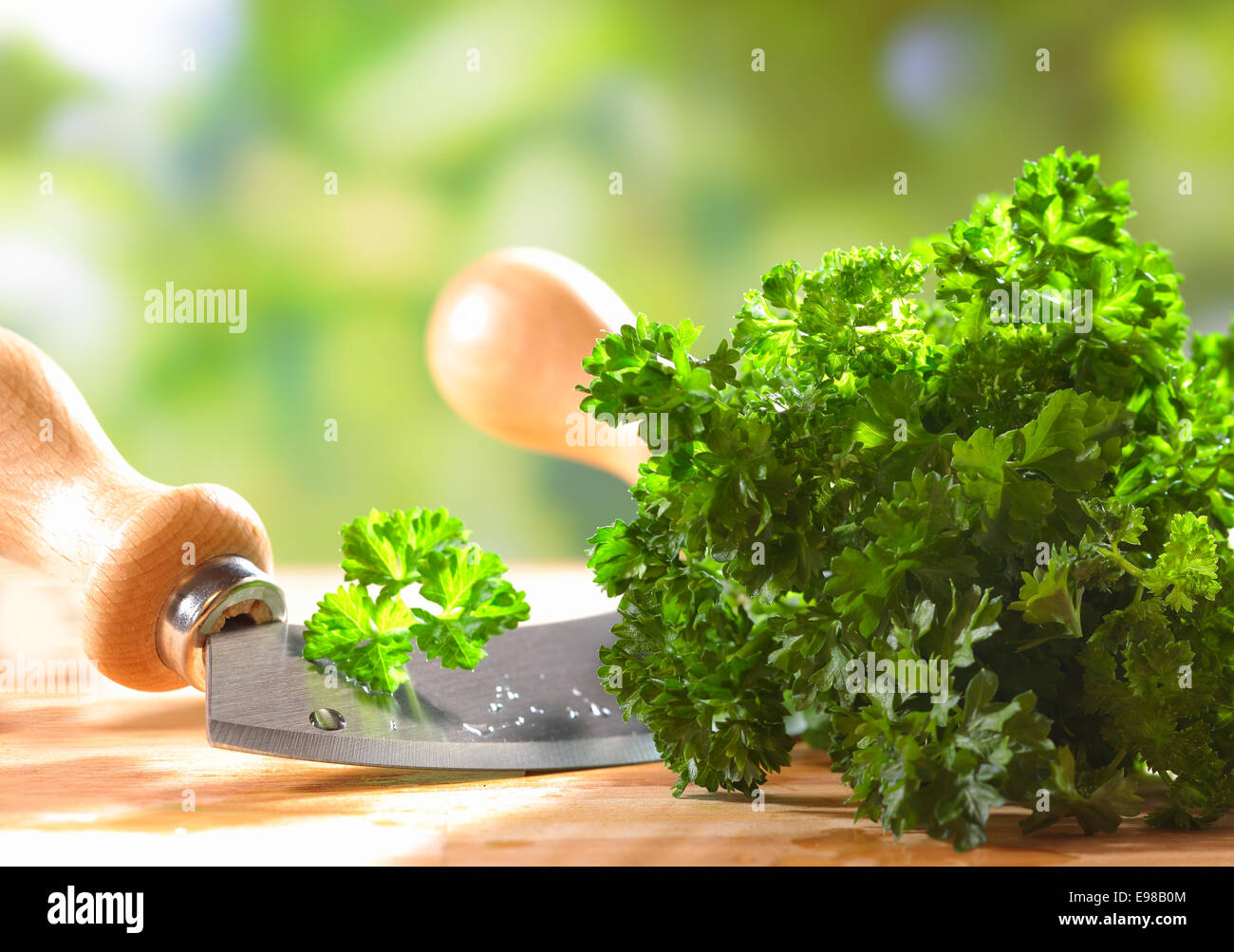 Libre d'un tas de persil plat frais vert crinkly allongé sur une table en bois en plein air avec une lame de couteau de cuisine Banque D'Images