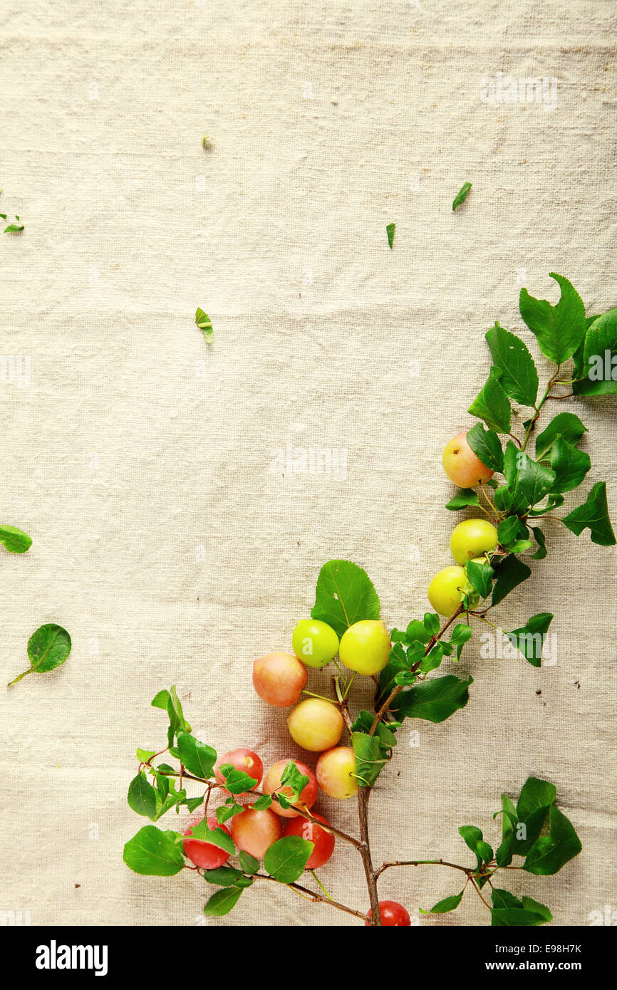 Jaune et Rouge sucré des fruits sur un tissu blanc. Bon pour Santé Bien-être Promotions Banque D'Images