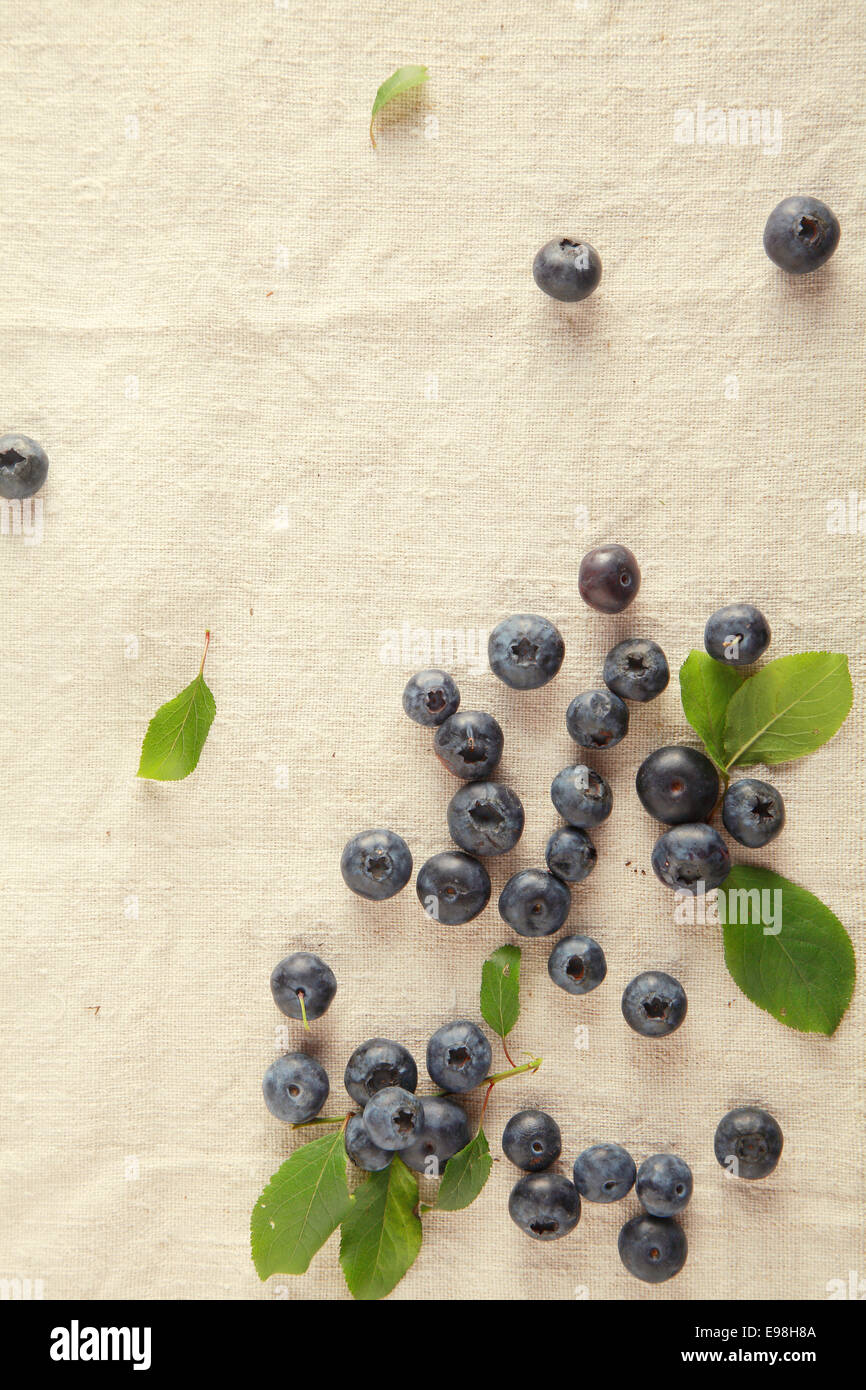 Les baies fraîches dispersées sur la table. Vitamin-Rich les fruits. Banque D'Images