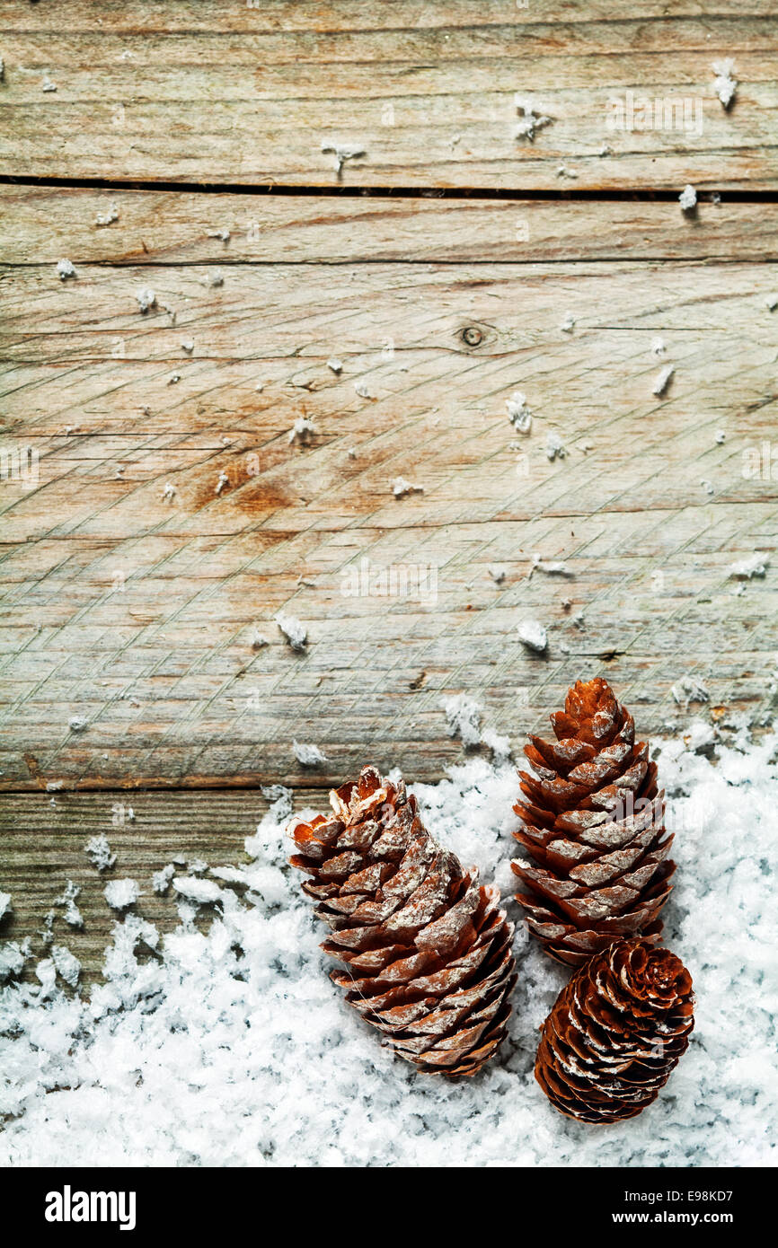 Cône de pin Noël fond rustique avec trois cônes nichée en hiver neige sur old weathered planches en bois avec beaucoup de copyspace pour votre message de Noël de bon temps Banque D'Images