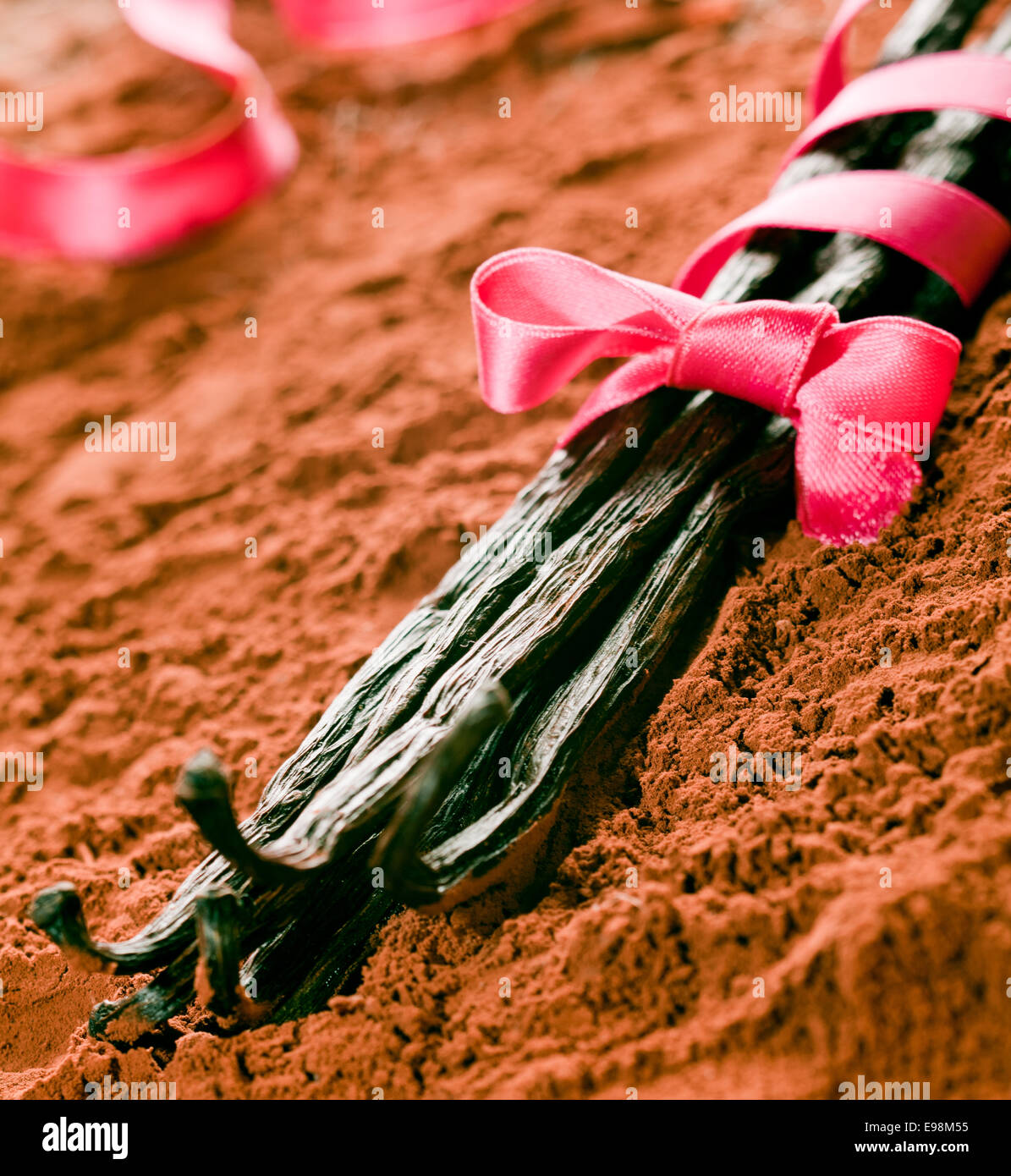 Bouquet de vanille avec un ruban rose, un cacao en poudre Banque D'Images