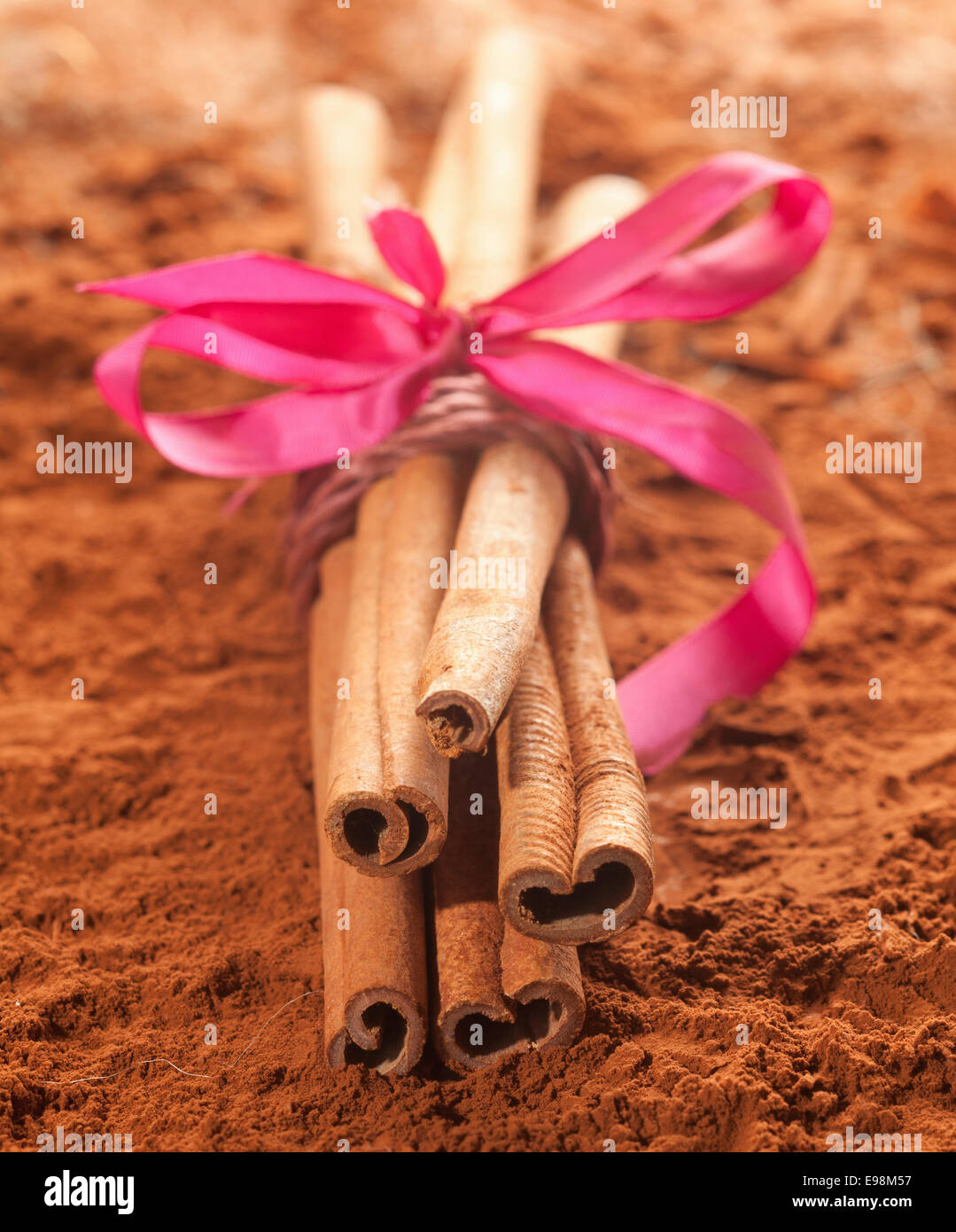 Cannelle long avec un ruban rose sur un fond cacao brun Banque D'Images