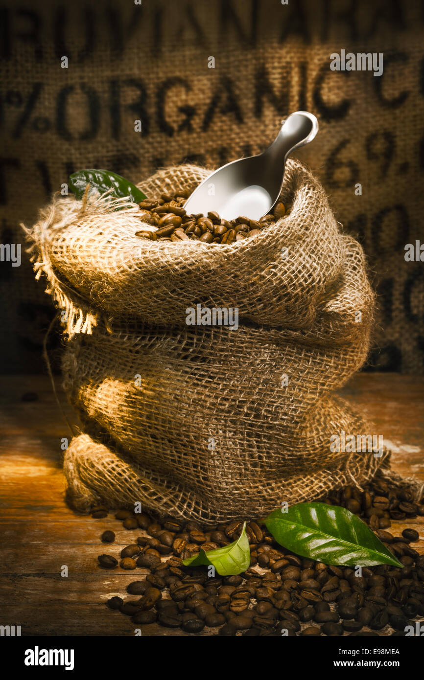 Petit sac en toile de jute rempli de grains de café torréfiés surmontée d'une petite pelle avec le mot en surbrillance sur organiques hessian Banque D'Images