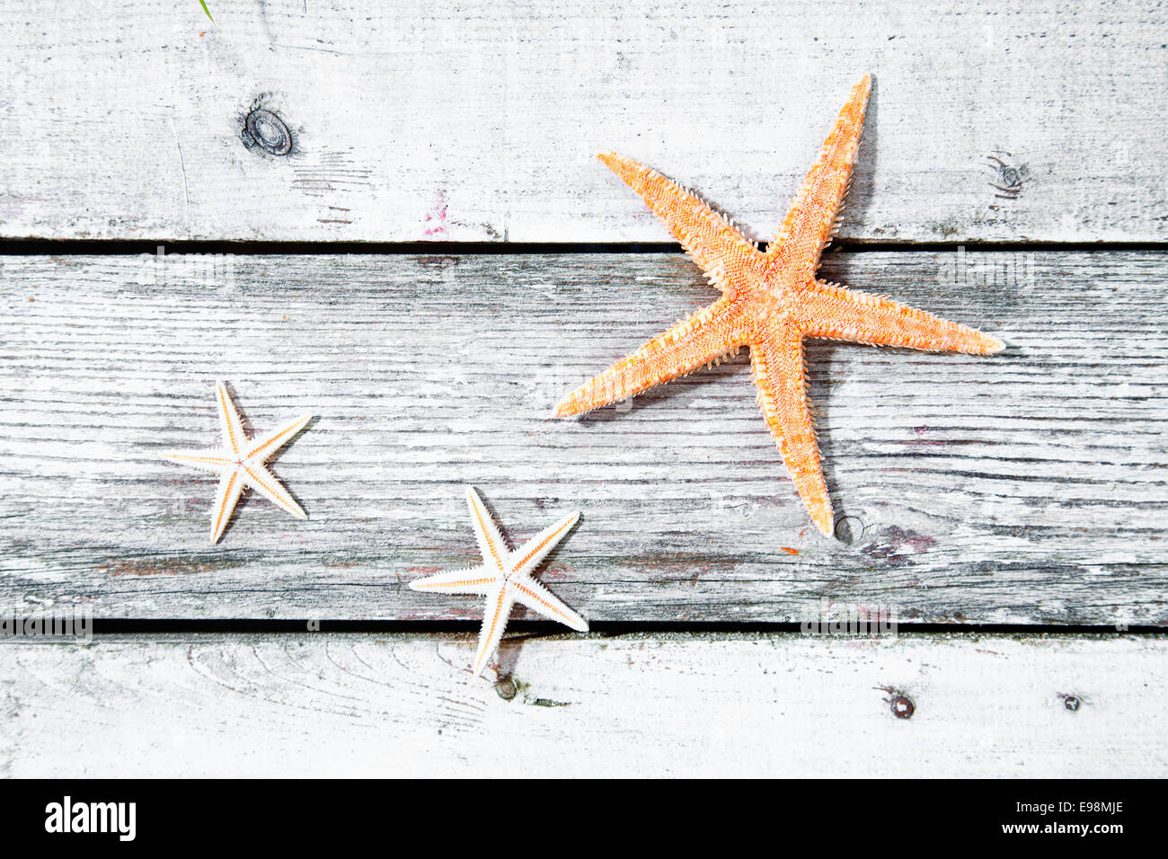 Trois étoiles ou des étoiles de mer sur un fond de bois texturé de vieilles planches en bois avec copyspace Banque D'Images