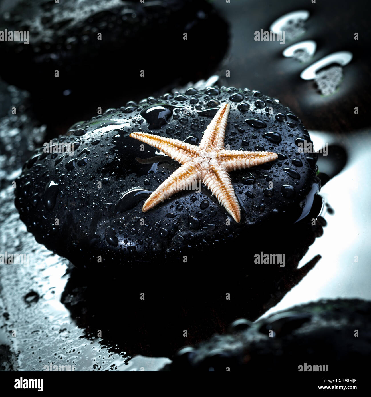 Spa Massage thérapeutique noir stone scintillants de gouttelettes d'eau avec une petite étoile de mer Banque D'Images