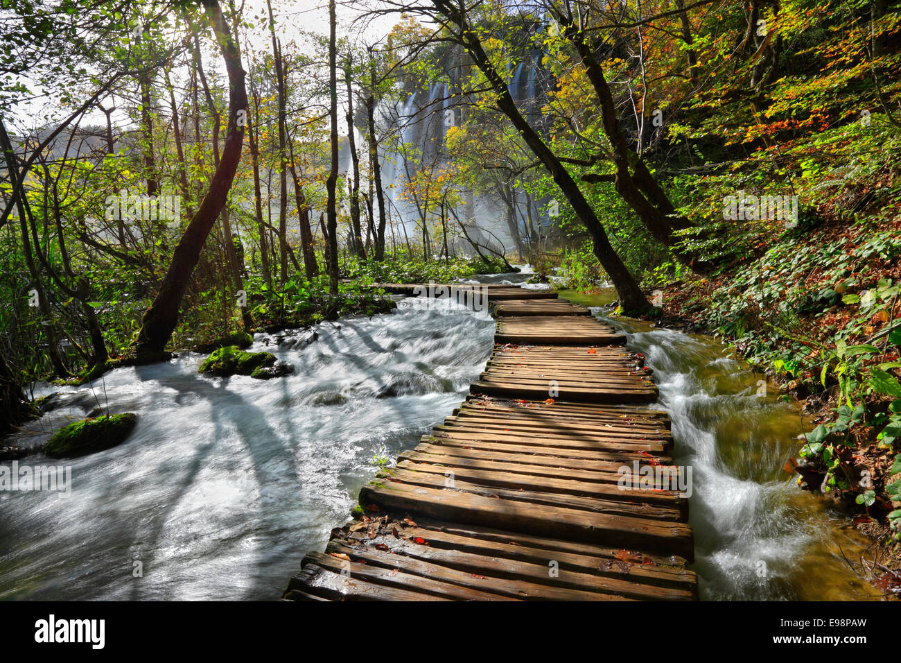 Le parc national des lacs de Plitvice, Croatie Banque D'Images