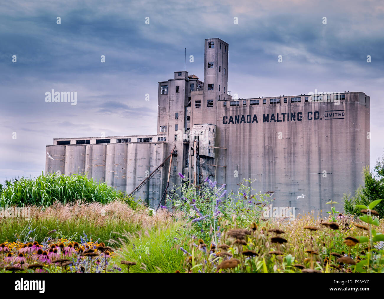 Les silos à Canada Malting le Harbourfront à Toronto (Ontario) Canada. Banque D'Images