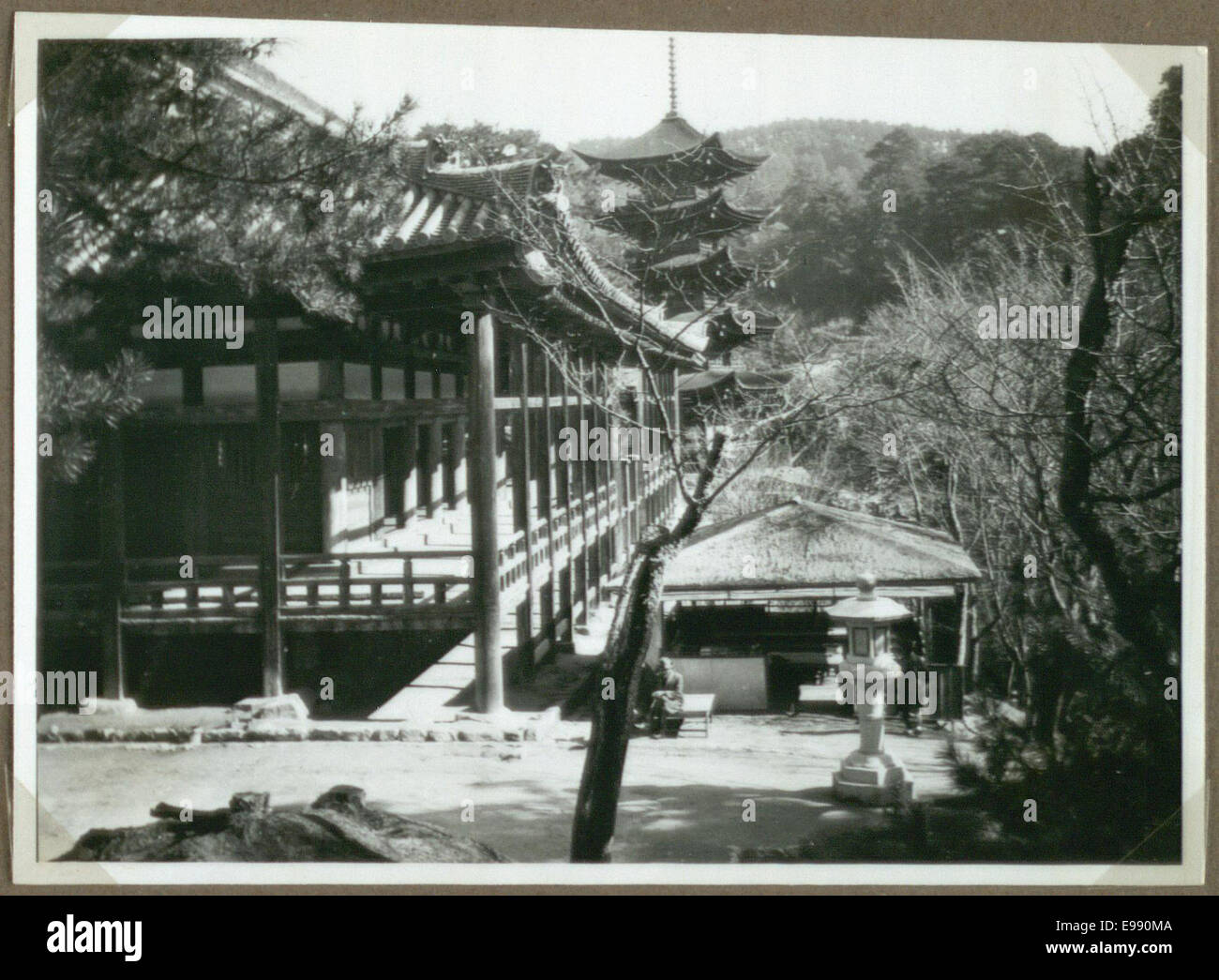 Photographie de divers bâtiments à Nara, Japon. L'image montre un mélange d'architecture traditionnelle et historique, mettant en valeur le patrimoine culturel et architectural de la ville. Banque D'Images