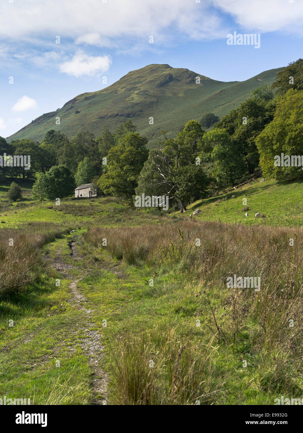 Dh Cat Bells DERWENT WATER LAKE DISTRICT DE SENTIER Catbells Banque D'Images