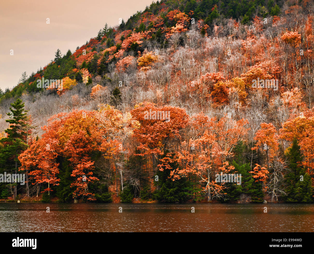 Oxbow dans l'Adirondack State Park, New York Banque D'Images