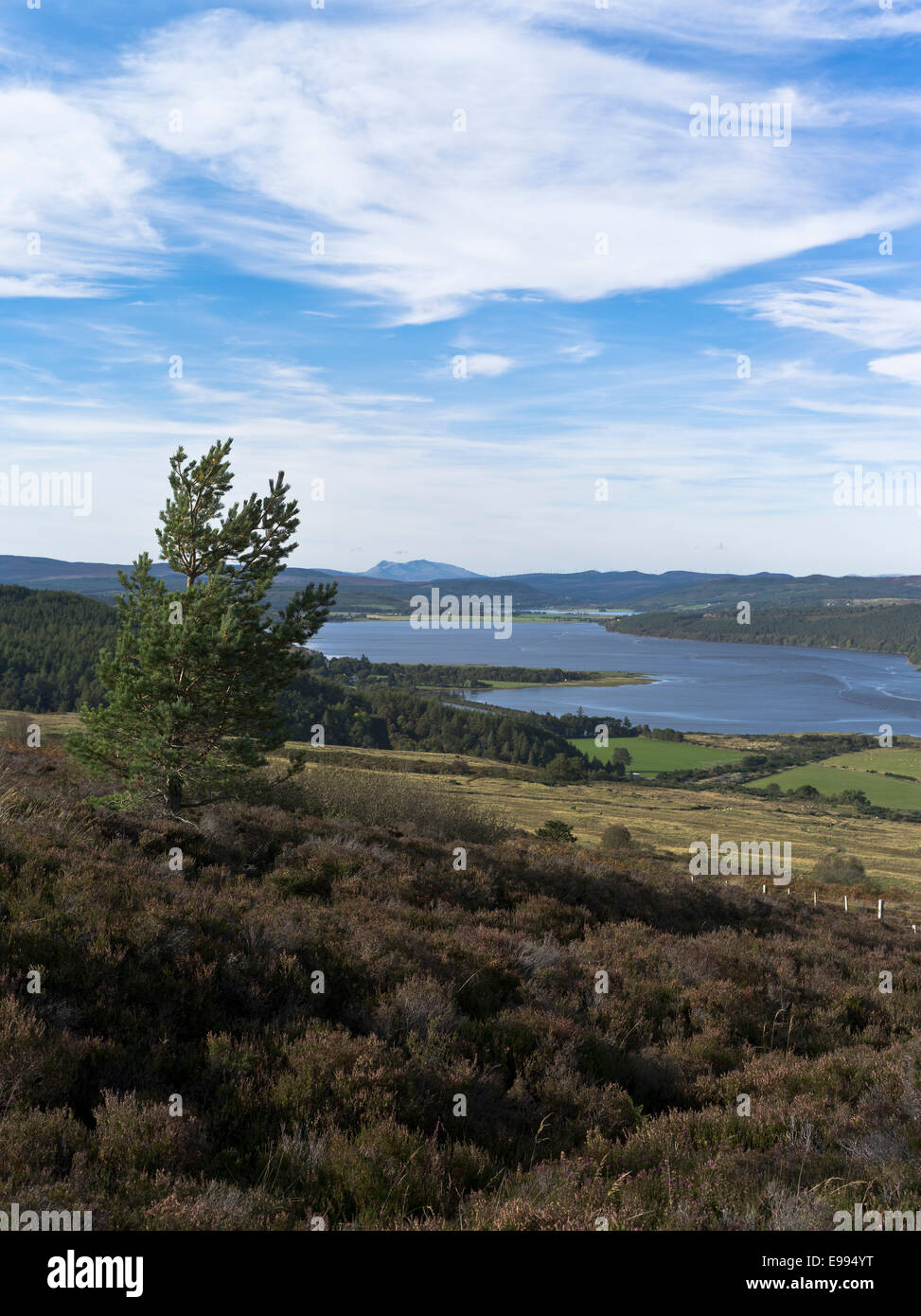 dh Struie Hill STRUIE ROSS CROMARTY Scottish Heather Highland View De Dornoch Firth de point de vue paysage ecosse montagnes est pâques ross shire Banque D'Images