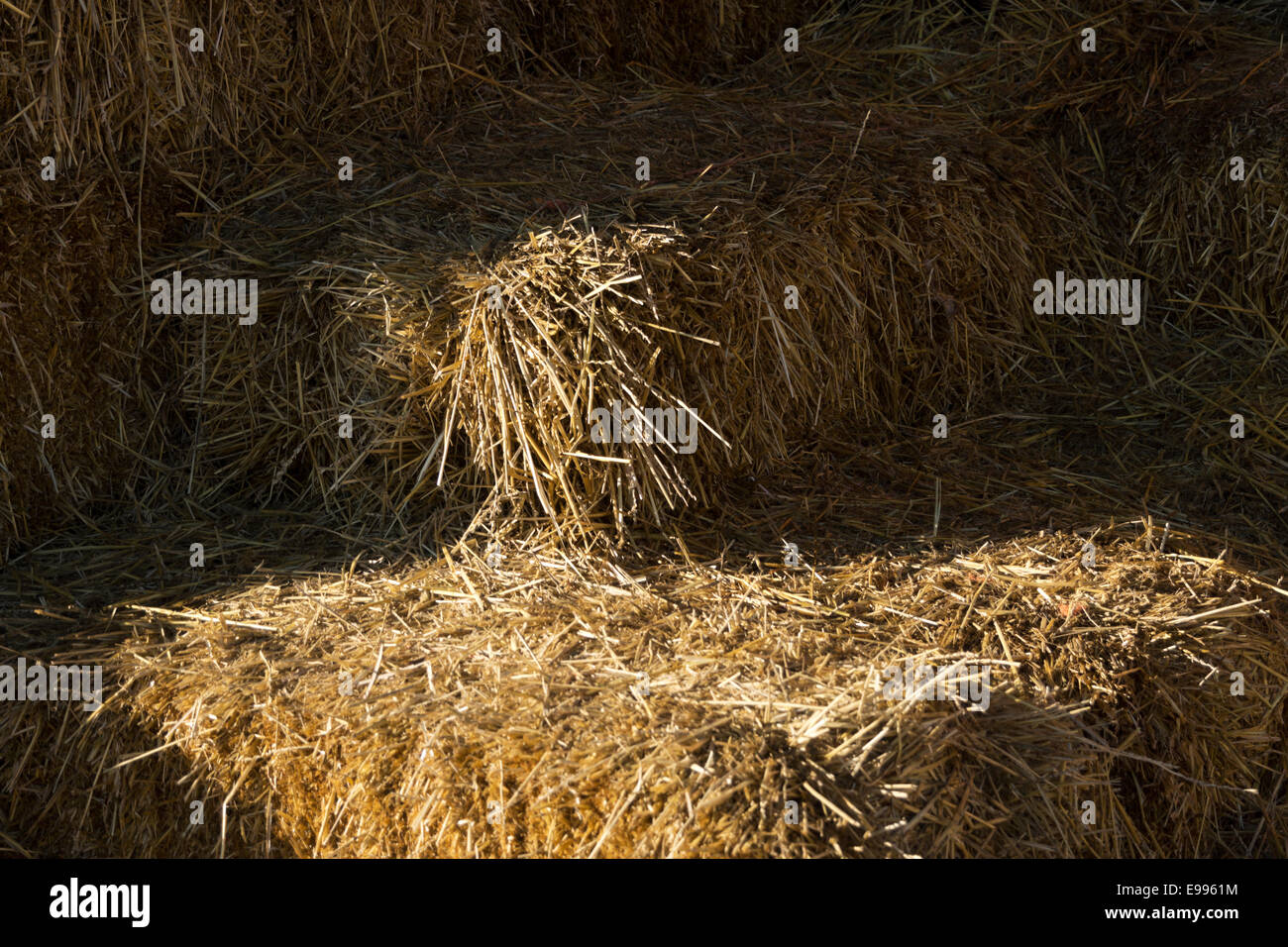 Versele-Laga - Paille Naturelle, Litière Hygiénique Pour Lapins Et Rongeurs 2.5kg
