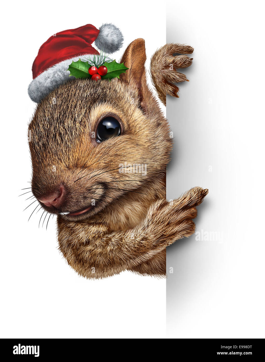 Squirrel wearing hat avec Holly et baies rouges suspendues sur un côté vierge bannière avec copie Banque D'Images