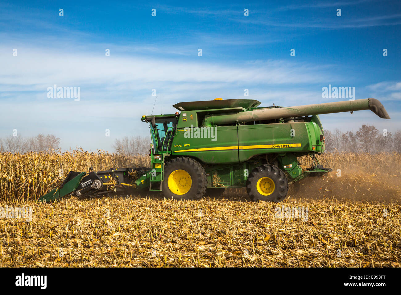 La récolte de maïs 2014 sur le Froese ferme près de Winkler, au Manitoba, Canada. Banque D'Images