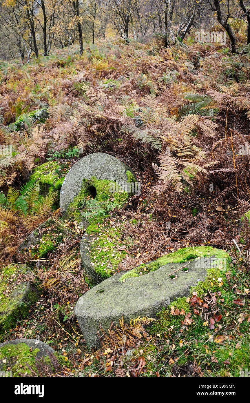 Meules abandonnées couvertes de mousses à Bolehill Quarry dans le Derbyshire. Banque D'Images