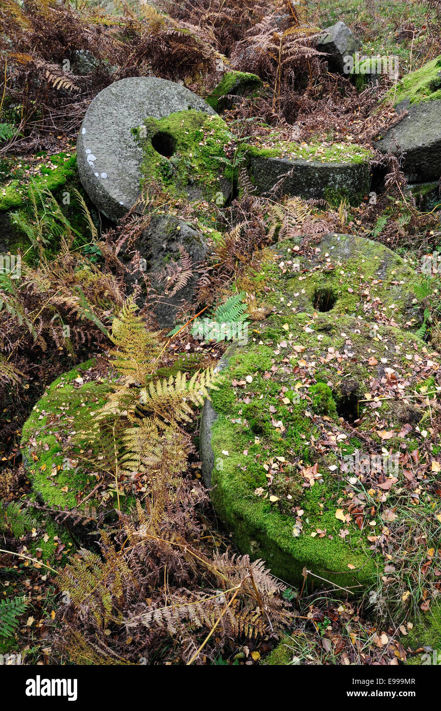 Meules abandonnées couvertes de mousses à Bolehill Quarry dans le Derbyshire. Banque D'Images