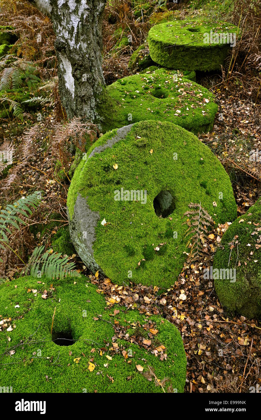 Meules rondes couvertes de mousses à Bolehill Quarry dans le Peak District. Et la mousse verte avec les feuilles tombées. Banque D'Images