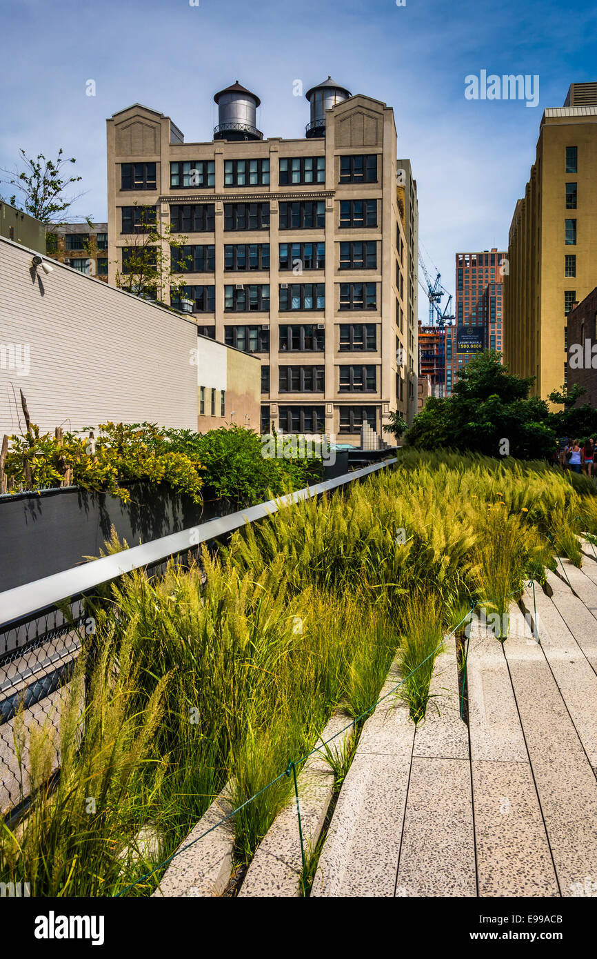 Les herbes et les piétons à la ligne haute, Manhattan, New York. Banque D'Images