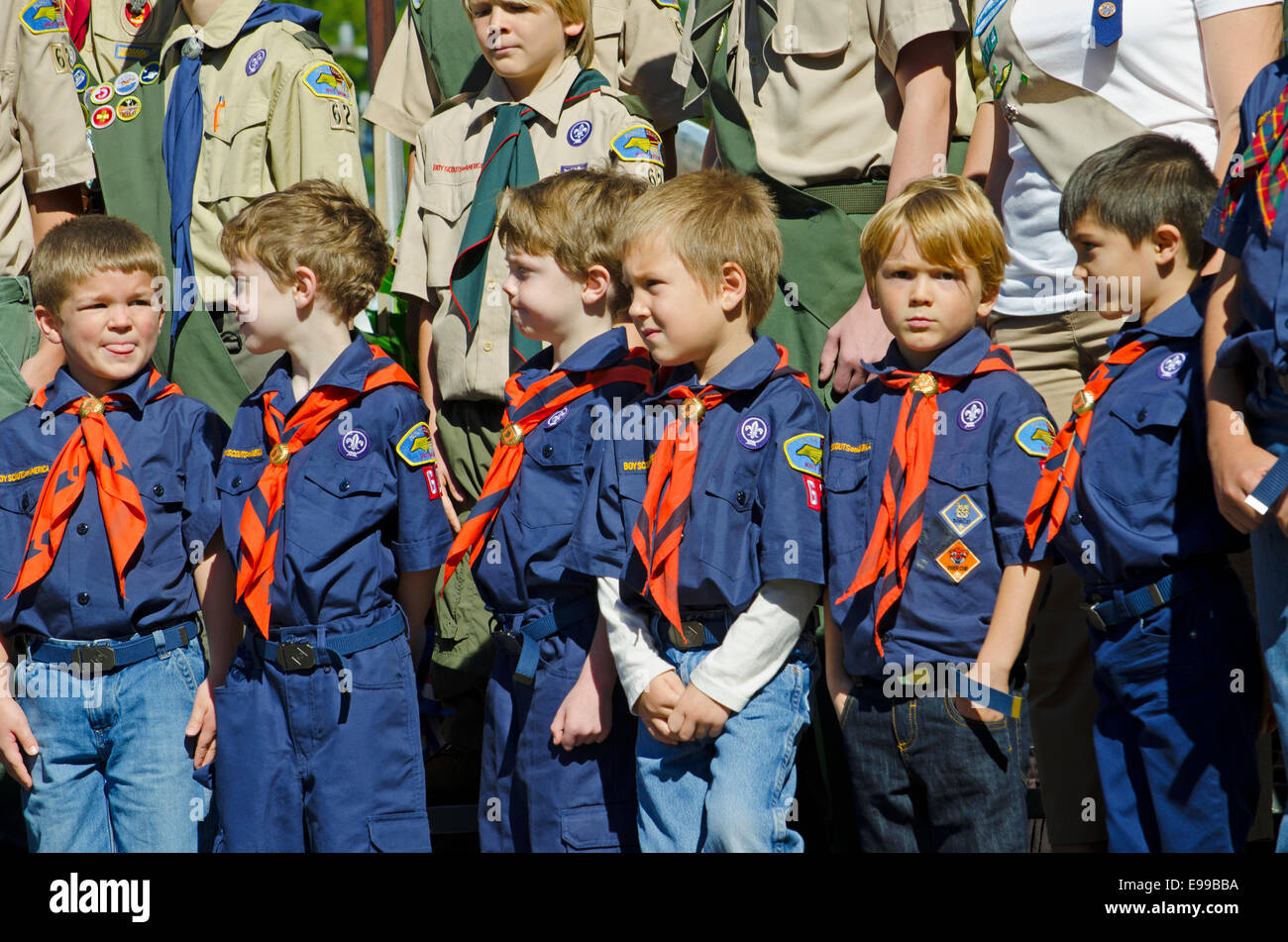 Scouts et louveteaux d'Amérique au garde à vous lors d'un discours en l'honneur des anciens combattants de la Deuxième Guerre mondiale. Banque D'Images