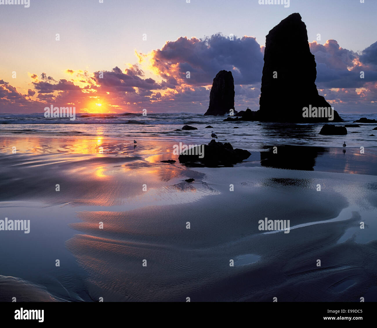 Marée basse réflexions du soleil couchant et les aiguilles sont réceptionnés dans la mer d'ossature à l'Oregon's Cannon Beach. Banque D'Images