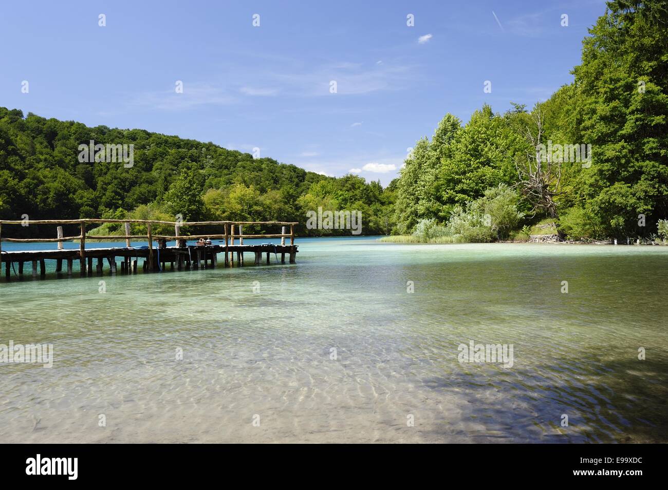 Le parc national Plitvicka Jezera (Croatie) Banque D'Images