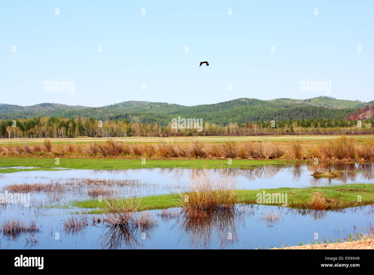 Très beau paysage de montagne Banque D'Images