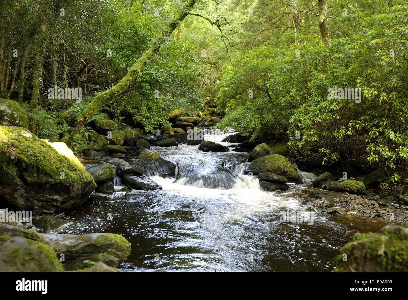 Torc Waterfall Banque D'Images
